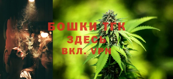 винт Дмитров