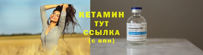 винт Дмитров