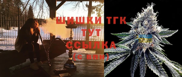 прущие грибы Дмитровск