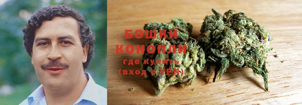 ГАЛЛЮЦИНОГЕННЫЕ ГРИБЫ Сафоново