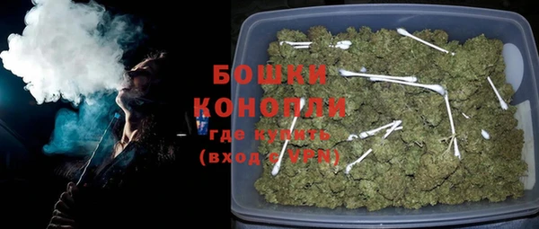 прущие грибы Дмитровск