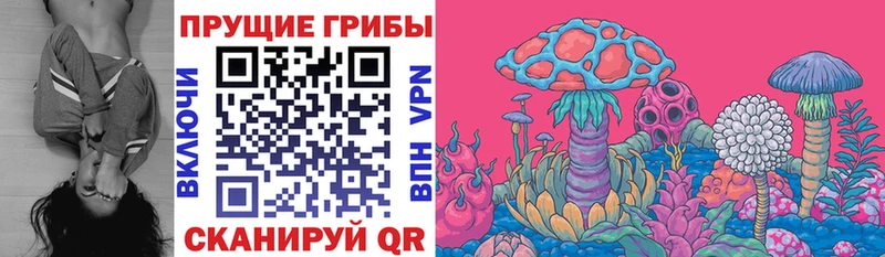 Псилоцибиновые грибы Cubensis  Льгов 